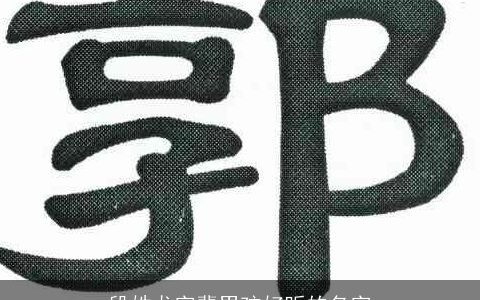 段姓龙字辈男孩好听的名字