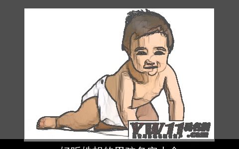 好听姓胡的男孩名字大全