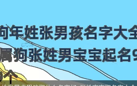 姓张属虎男孩取什么名字好 张姓宝宝取名字大全