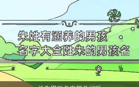 姓朱男孩名字简单好听