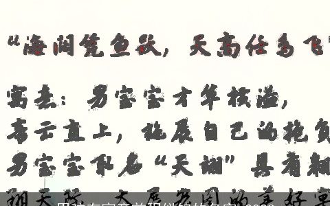 男孩有寓意前程似锦的名字 2023