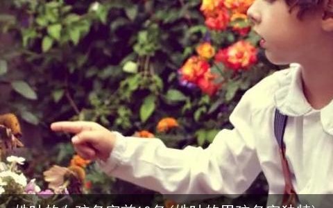 姓叶的女孩名字前10名(姓叶的男孩名字独特)