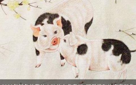 2023年属兔姓葛的小孩什么名字好 可爱温和的宝宝起名