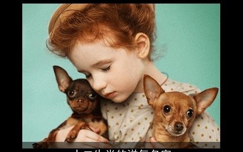 十二生肖的洋气名字