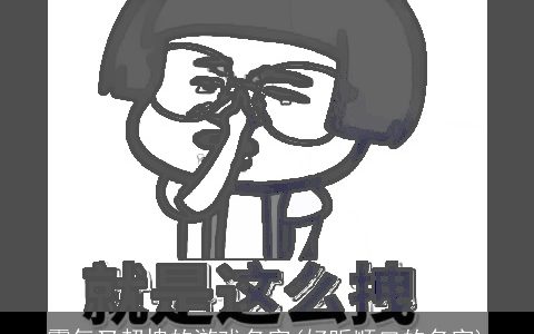 霸气又超拽的游戏名字(好听顺口的名字)