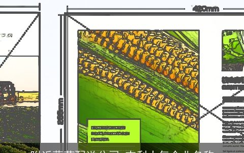 附近蔬菜配送公司 吉利大气企业名称