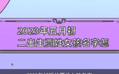 2023年好听的贾姓女孩名字