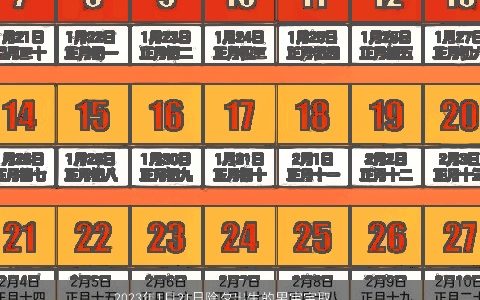 2023年1月21日除夕出生的男宝宝取名 兔年除夕1月21日出生的内涵男孩起名