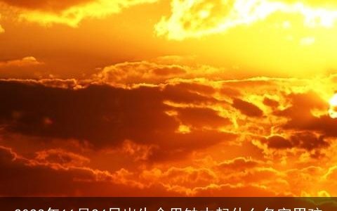 2024年11月24日出生命里缺木起什么名字男孩