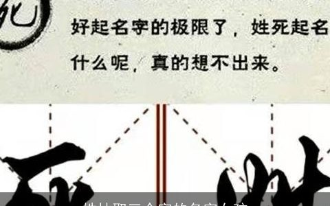 姓林取三个字的名字女孩