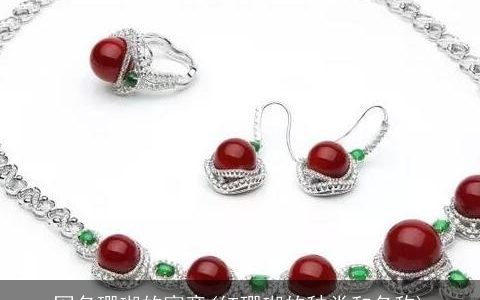 网名珊瑚的寓意(红珊瑚的种类和名称)