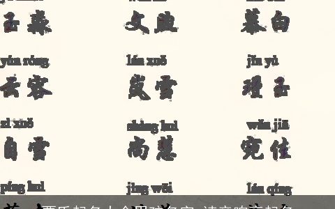 贾氏起名大全男孩名字 读音响亮起名