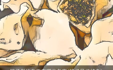 饺子型的东西有哪些名字(饺子风格特色)