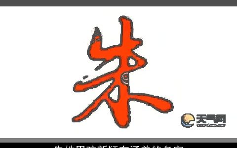 朱姓男孩新颖有涵养的名字