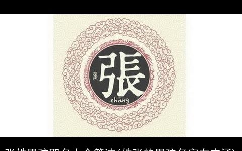 张姓男孩取名大全简洁(姓张的男孩名字有内涵)