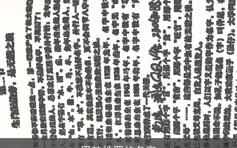 男孩姓罗的名字