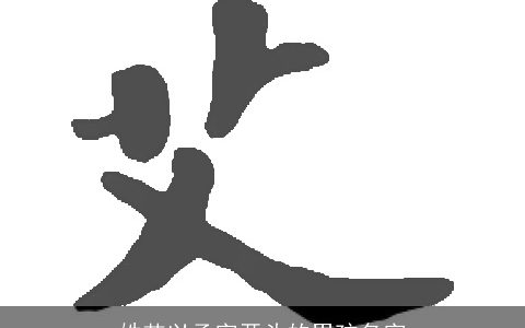 姓艾以承字开头的男孩名字