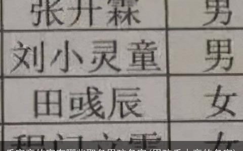 禾字旁的字有哪些取名男孩名字(男孩禾木旁的名字)