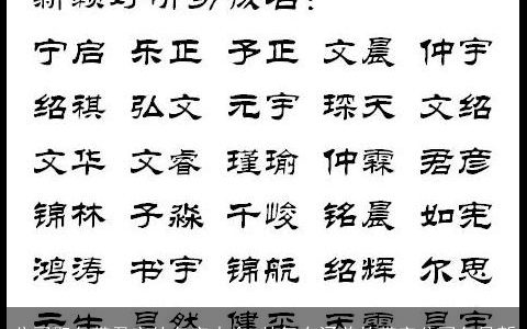 公司取名带君字的名字大全 帅气有涵养的带字公司名最新