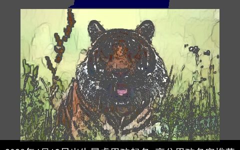 2023年4月19日出生属虎男孩起名 高分男孩名字推荐