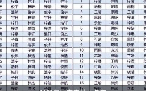 2023年男宝宝姓杜名字