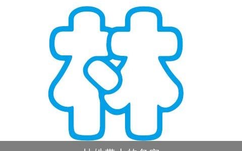 林姓带水的名字