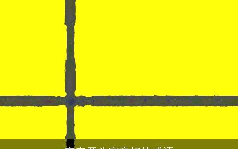 宁字开头寓意好的成语