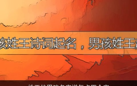 姓王的男孩名字洋气点四个字