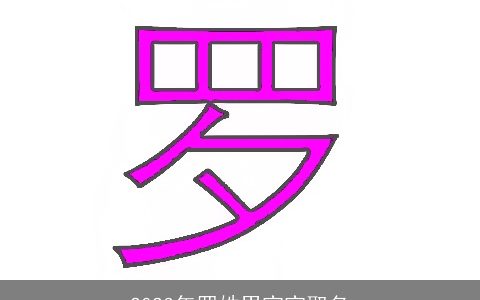 2023年罗姓男宝宝取名