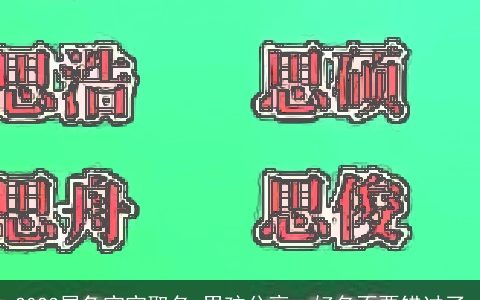 2024属兔宝宝取名 男孩分享  好名不要错过了