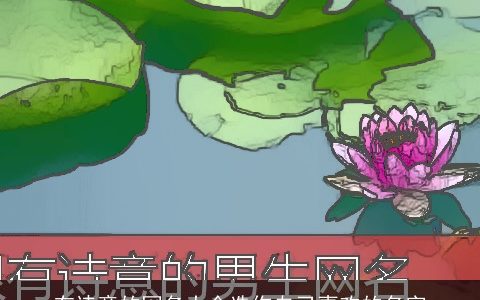 有诗意的网名大全选你自己喜欢的名字