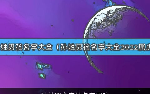 孙姓四个字的名字男孩