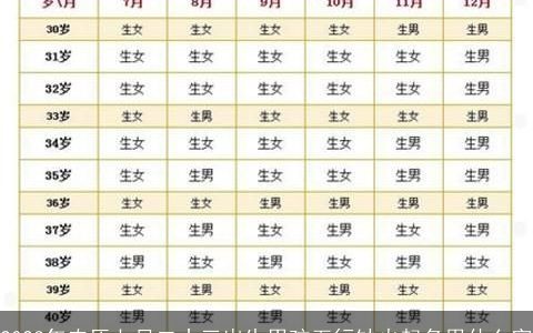 2023年农历七月二十三出生男孩五行缺火起名用什么字