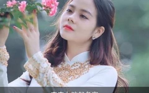 查查女孩起名字