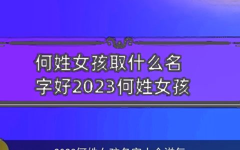 2024何姓女孩名字大全洋气