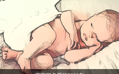 宝宝取名男孩2024年