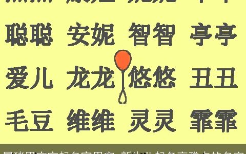 属猪男宝宝起名宜用字 新生儿起名高雅点的名字