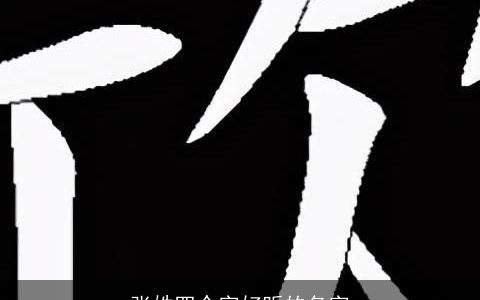 张姓四个字好听的名字