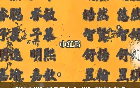 双胞胎男孩取名字大全 男孩双胞胎起名