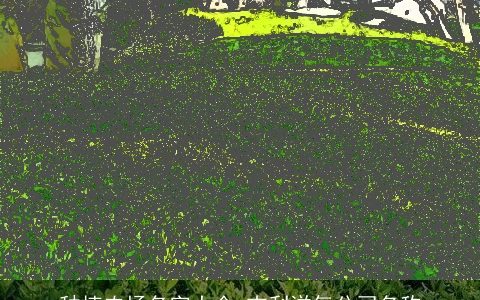 种植农场名字大全 吉利洋气公司名称