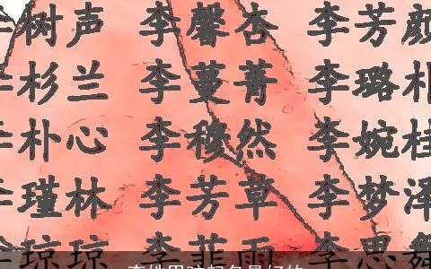 李姓男孩起名最好的