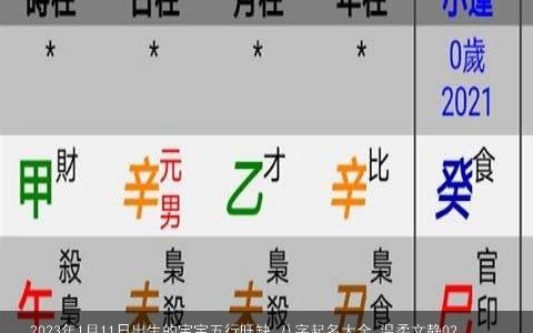 2023年1月11日出生的宝宝五行旺缺 八字起名大全 温柔文静022年1月11日出生的宝宝五行旺缺 八字起名  取名网叁的宝宝八字名字