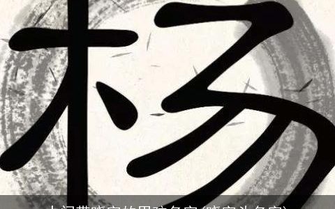 中间带晓字的男孩名字(晓字头名字)