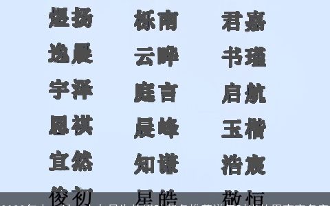 2023年十一月二十九日生的男孩起名推荐洋气时尚的男宝宝名字