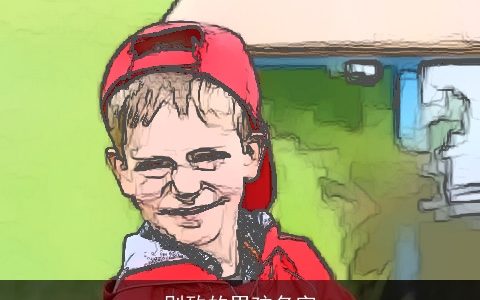 别致的男孩名字