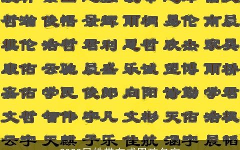 2023吕姓带有成男孩名字