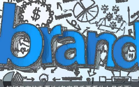 起好名字的重要性(名字最重要看什么最重要)