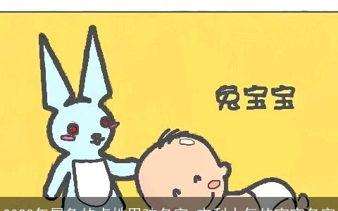 2024年属兔的卢姓男孩名字 吉利大气的宝宝名字