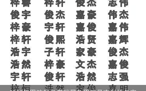 2023年男孩起名带瑞属兔男孩最吉利的名字