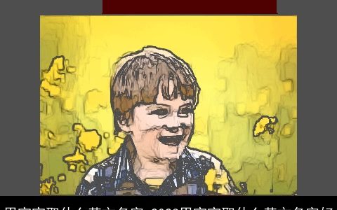 男宝宝取什么英文名字 2024男宝宝取什么英文名字好